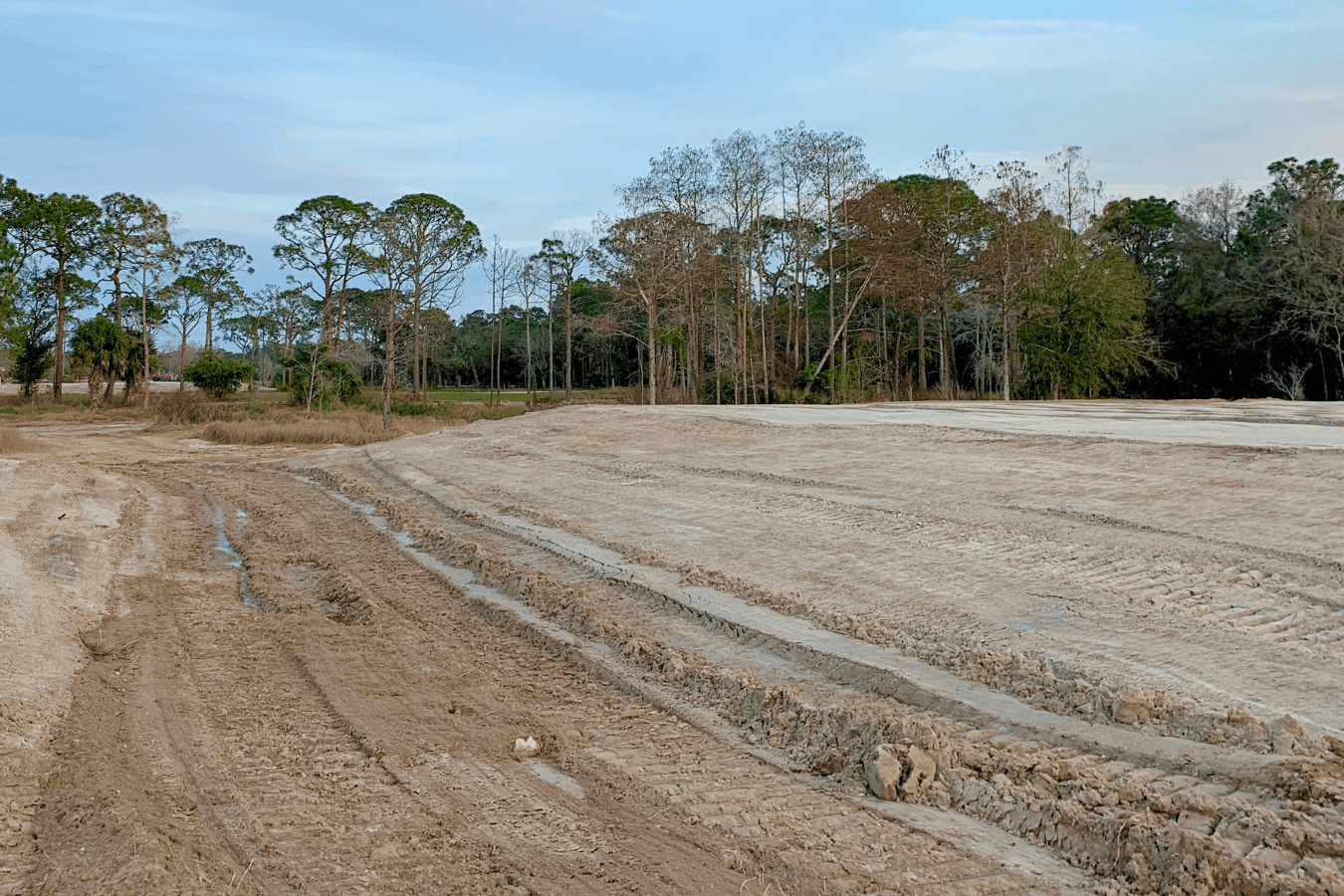 Lot clearing