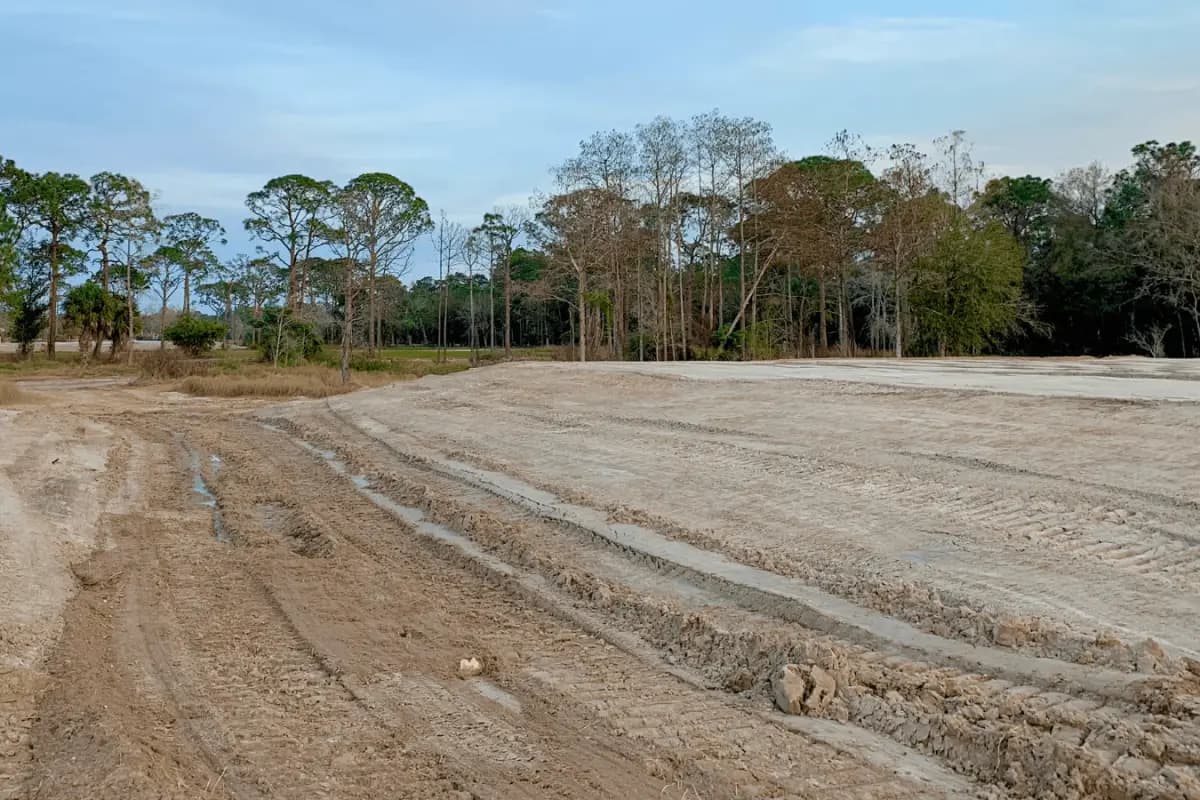 Lot clearing
